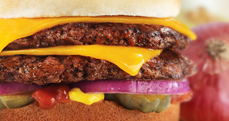 Culver's Cheddar ButterBurger