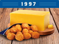 Wisconsin Cheese Curds